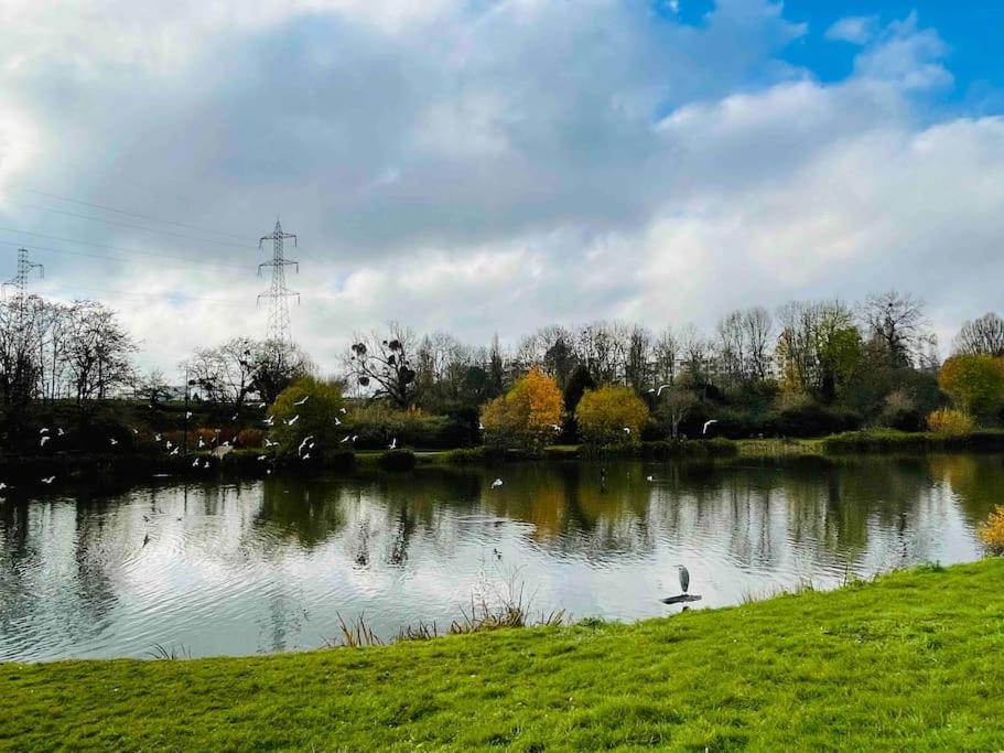 Masion Belle Vue Leilighet Sarcelles Eksteriør bilde
